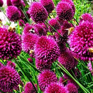 Meet your Posher, Kari